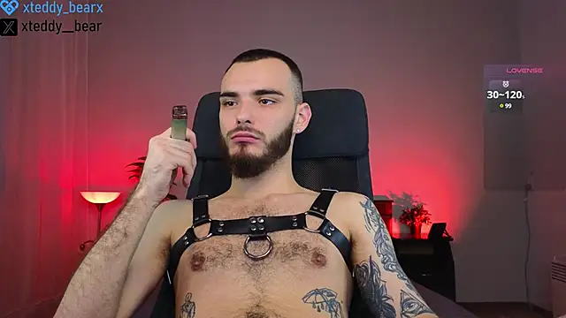 xteddy bear online show from 20, 1, 2025