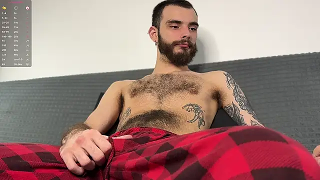 xteddy bear online show from 17, 11, 2025