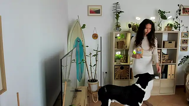 desertd2310 online show from 8, 3, 2025