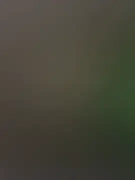 palomamoraid online show from 27, 12, 2024