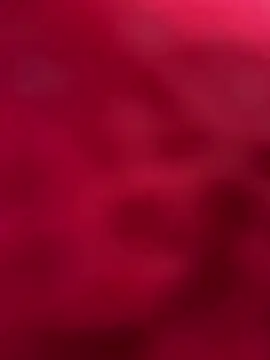 palomamoraid online show from 12, 3, 2025