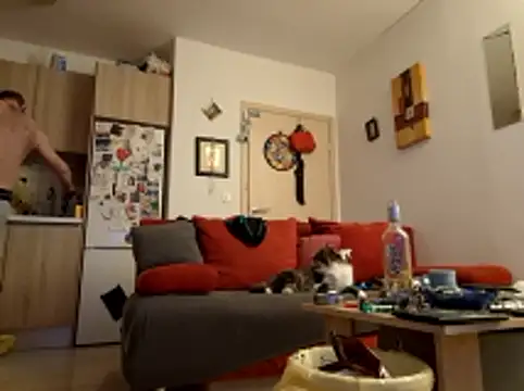 Zlyzloba21 online show from 15, 4, 2026