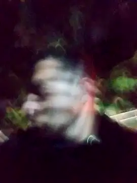 Snapshot of mis312 chatting on 4, 3, 2025 mis312 online show from 4, 3, 2025