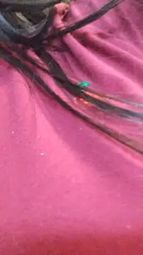 ailyn miranda online show from 29, 11, 2025