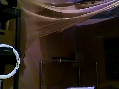 Snapshot of JdLove1 chatting on 31, 12, 2024 JdLove1 online show from 31, 12, 2024