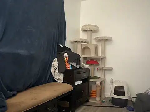 SpunCandy online show from 16, 7, 2026