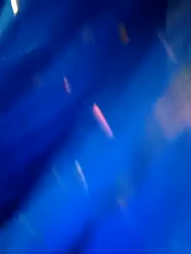 Snapshot of sneha_rose chatting on 8, 9, 2025 sneha rose online show from 8, 9, 2025