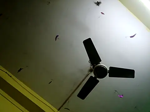 Sexyranibhabhi online show from 14, 12, 2025