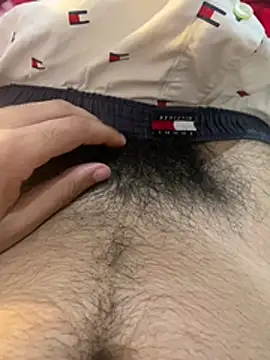 LaminarAerosol online show from 20, 4, 2026