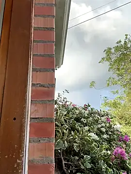 Snapshot of Penelope-Hot chatting on 11, 11, 2025 Penelope-Hot online show from 11, 11, 2025