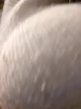 Giuliana baby online show from 10, 3, 2025