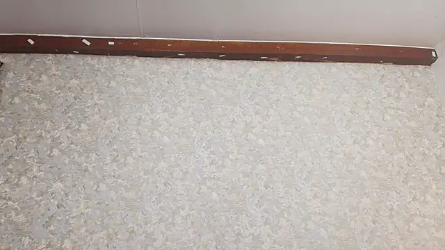 nicol f online show from 5, 3, 2025