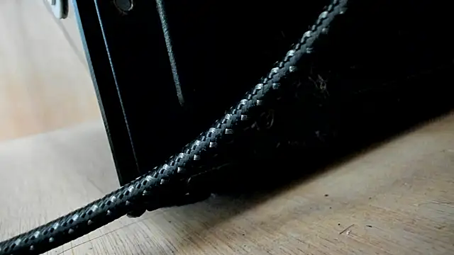 evely coelloo online show from 12, 12, 2024