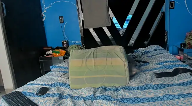 Cataleya19   online show from 3, 12, 2024