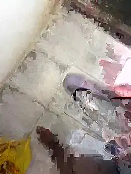 133pipi online show from 10, 4, 2026