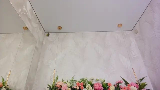 AliceBrayan online show from 19, 12, 2025