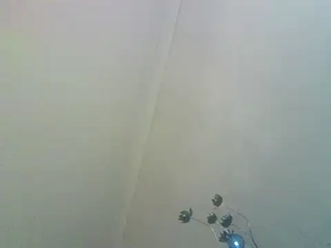 Snapshot of PocoLoco420 chatting on 1, 2, 2026 PocoLoco420 online show from 1, 2, 2026