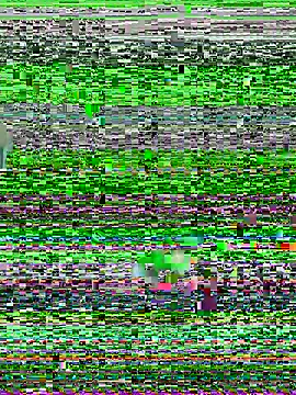 YawlingJingoist online show from 19, 3, 2026