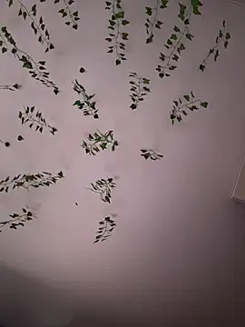 -Sexy Barbie- online show from 5, 11, 2025