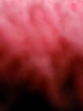 Snapshot of eric69_69 chatting on 5, 3, 2025 eric69 69 online show from 5, 3, 2025