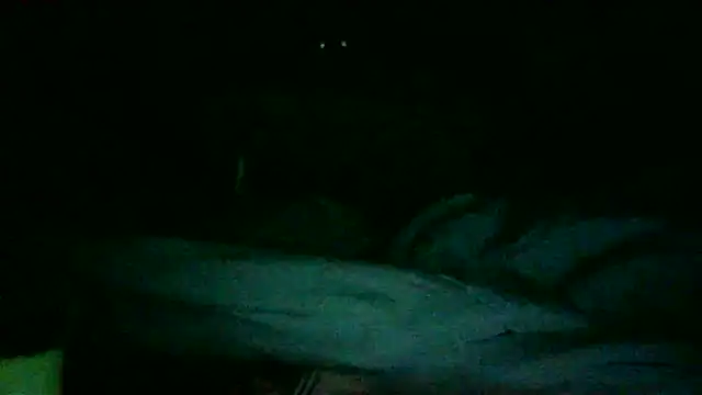 Snapshot of DI4MOND_FIR3 chatting on 27, 11, 2025 DI4MOND FIR3 online show from 27, 11, 2025