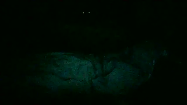 Snapshot of DI4MOND_FIR3 chatting on 28, 11, 2025 DI4MOND FIR3 online show from 28, 11, 2025