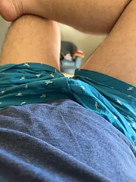 versatile guy01 online show from 9, 11, 2025