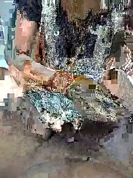 Snapshot of FeltedEuropium chatting on 22, 11, 2025 FeltedEuropium online show from 22, 11, 2025