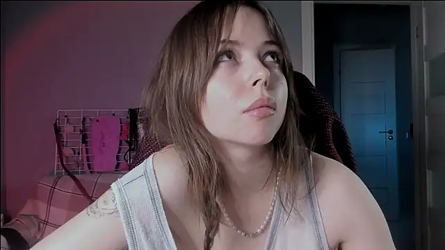 hype meal home online show from 25, 11, 2025