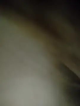 7alawa-44 online show from 5, 2, 2026