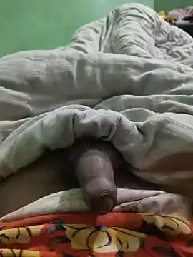 Snapshot of iaparna chatting on 24, 12, 2024 iaparna online show from 24, 12, 2024