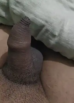 Snapshot of iaparna chatting on 29, 12, 2024 iaparna online show from 29, 12, 2024