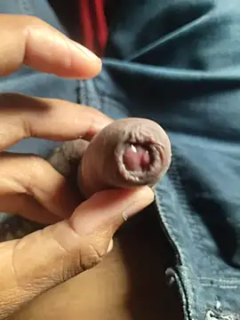 Snapshot of iaparna chatting on 17, 11, 2025 iaparna online show from 17, 11, 2025