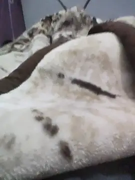 Snapshot of iaparna chatting on 16, 12, 2025 iaparna online show from 16, 12, 2025