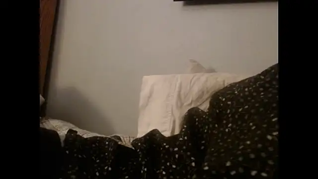 Snapshot of VanceFontaine chatting on 27, 10, 2025 VanceFontaine online show from 27, 10, 2025