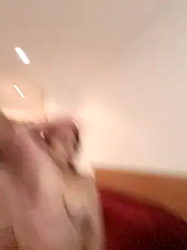 THIAGOEVA online show from 10, 12, 2024