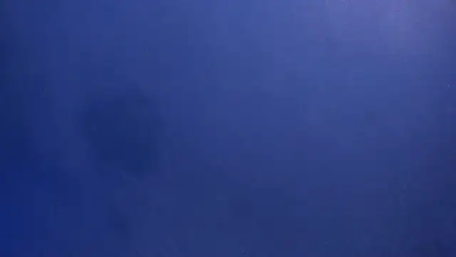 Snapshot of celestelewis chatting on 19, 3, 2025 celestelewis online show from 19, 3, 2025