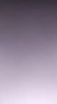 Snapshot of Linda_Lars chatting on 11, 2, 2025 Linda Lars online show from 11, 2, 2025