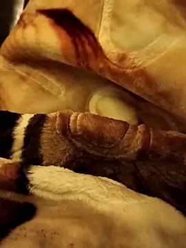 yhona darling online show from 16, 12, 2025