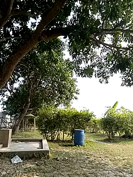 Snapshot of Hot_Urvi chatting on 19, 12, 2025 Hot Urvi online show from 19, 12, 2025