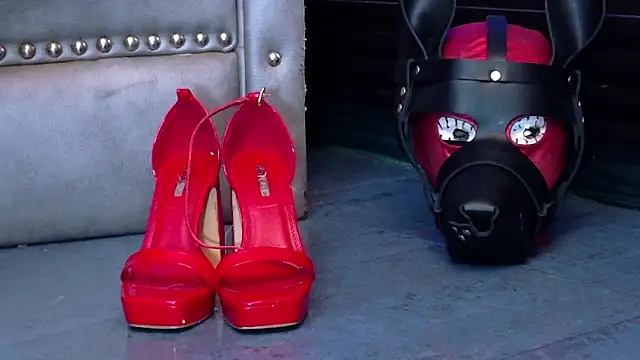 LusstCruella online show from 20, 2, 2026