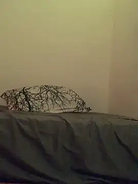 Marielasanchez online show from 27, 2, 2025