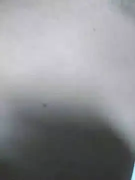 Snapshot of QcMisterv13 chatting on 31, 7, 2026 QcMisterv13 online show from 31, 7, 2026
