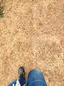 Ishan003 online show from 6, 3, 2026