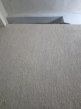 Priya Strip online show from 28, 3, 2026