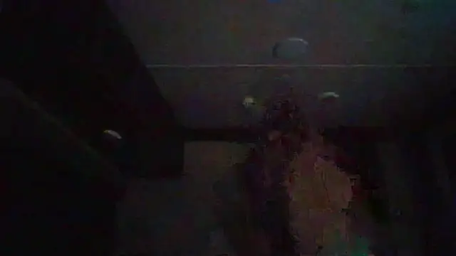 Cobra500hp online show from 11, 2, 2026