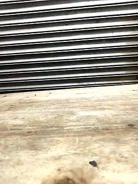 Snapshot of Bhabhi_desi12 chatting on 9, 11, 2025 Bhabhi desi12 online show from 9, 11, 2025