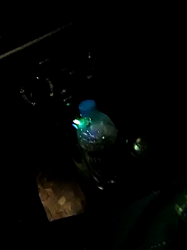 Soniyagupta999 online show from 31, 3, 2026