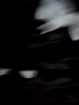 jhulyyy online show from 22, 3, 2025