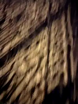 Snapshot of Sperma-V-rotik chatting on 14, 12, 2024 Sperma-V-rotik online show from 14, 12, 2024